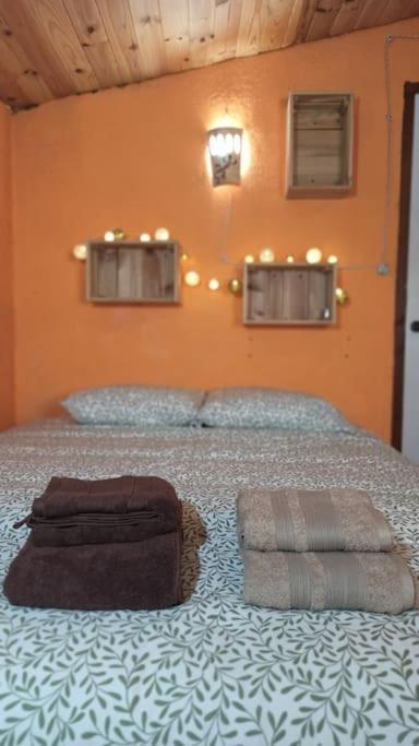 Raco Del Trinquet Villa Arboli Ngoại thất bức ảnh